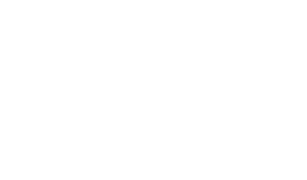 ARC Customer Experience